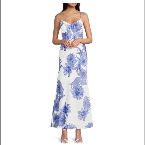 Next Up Dresses & Skirts - Floral Blue and White Maxi Dress